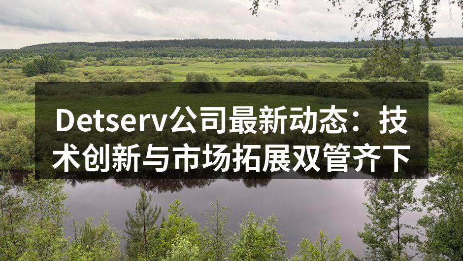 Detserv公司最新动态:技术创新与市场拓展双管齐下