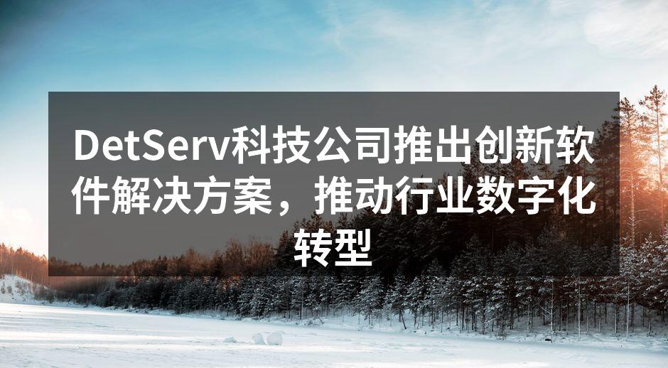 DetServ科技公司推出创新软件解决方