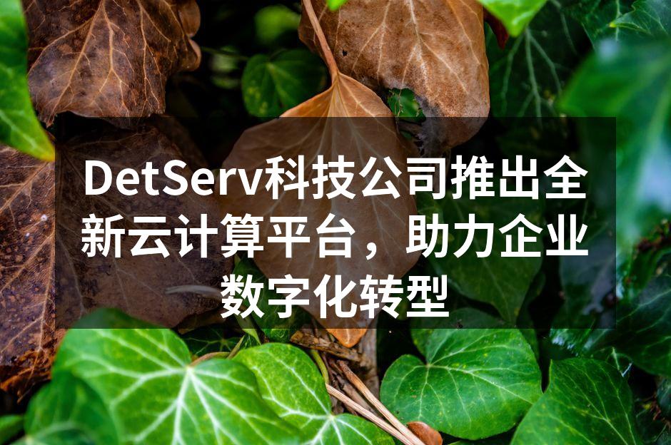 DetServ新云计算平台界面展示