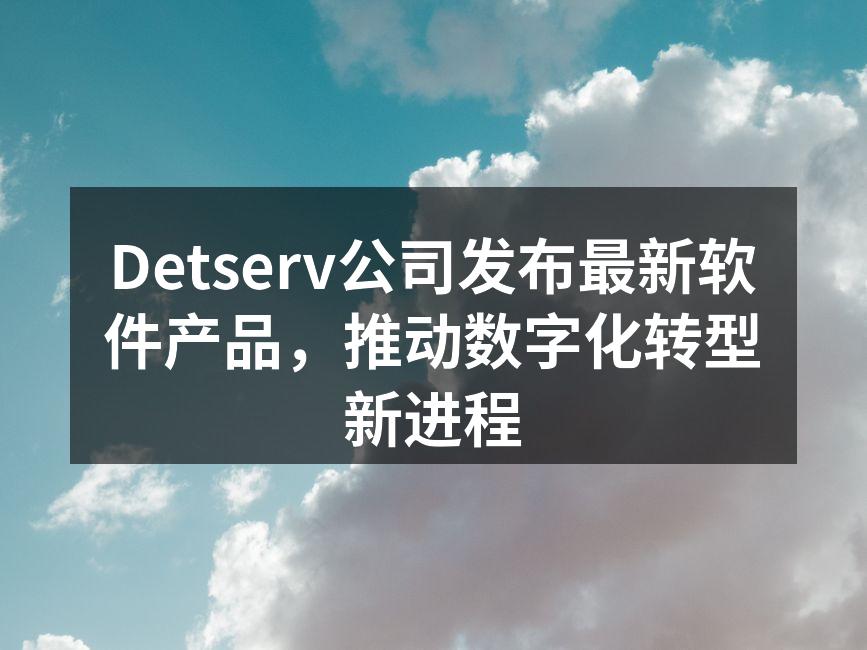 Detserv新软件产品发布会现场