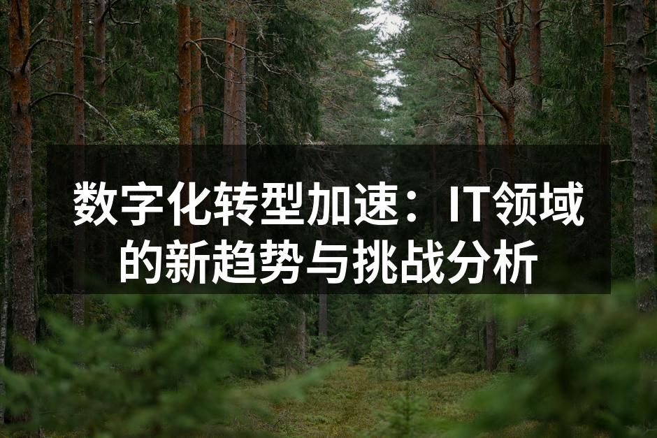 数字化转型加速：IT领域的新趋势与挑战分