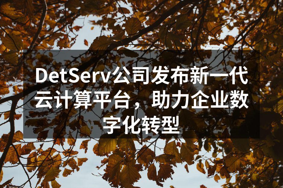 DetServ公司发布新一代云计算平台，助力企业数字化转型
