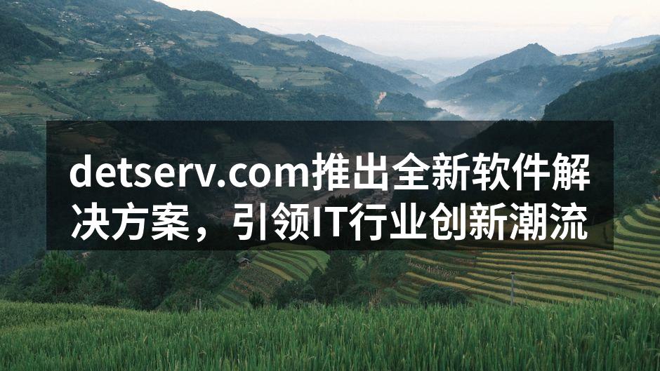 detserv.com全新软件解决方案发布会现场